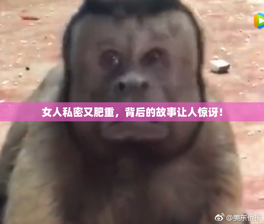 女人私密又肥重，背后的故事让人惊讶！