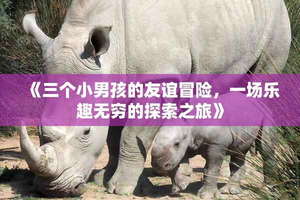 《三个小男孩的友谊冒险，一场乐趣无穷的探索之旅》