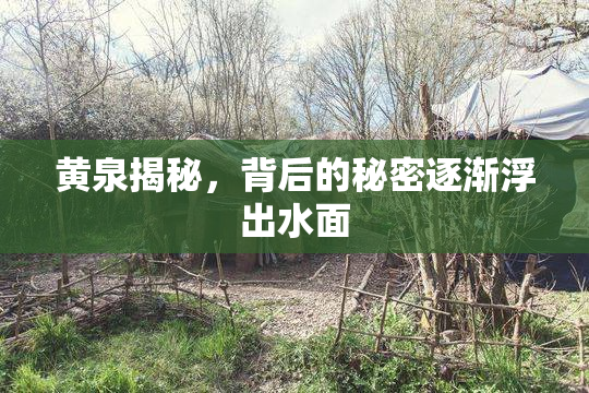 黄泉揭秘，背后的秘密逐渐浮出水面