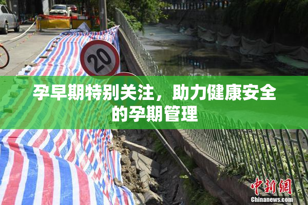 孕早期特别关注，助力健康安全的孕期管理