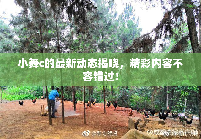 小舞c的最新动态揭晓，精彩内容不容错过！