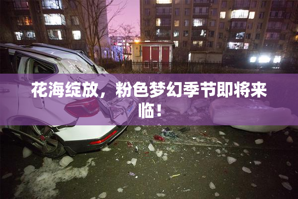 花海绽放，粉色梦幻季节即将来临！