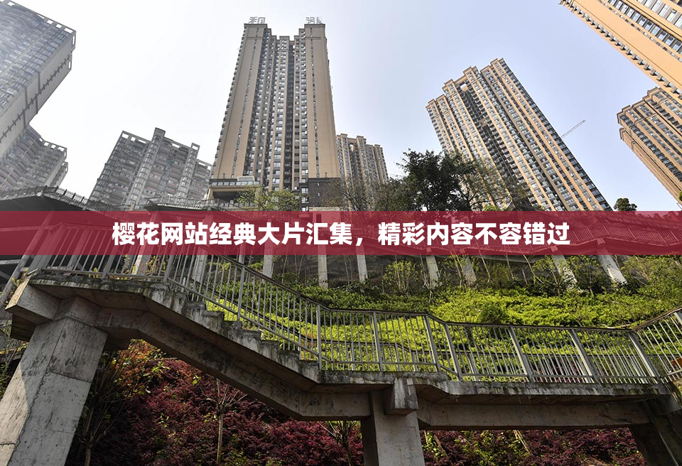 樱花网站经典大片汇集，精彩内容不容错过