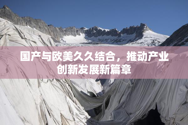 国产与欧美久久结合，推动产业创新发展新篇章