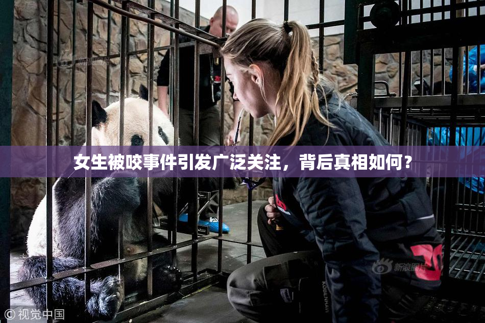 女生被咬事件引发广泛关注，背后真相如何？