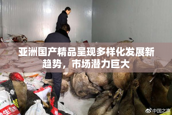亚洲国产精品呈现多样化发展新趋势，市场潜力巨大