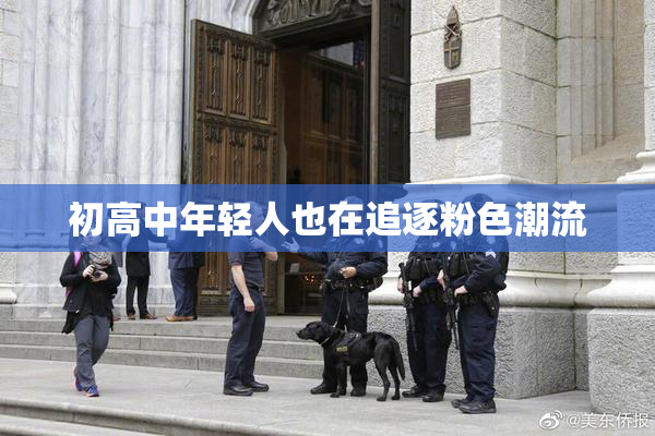 初高中年轻人也在追逐粉色潮流