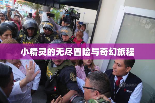 小精灵的无尽冒险与奇幻旅程