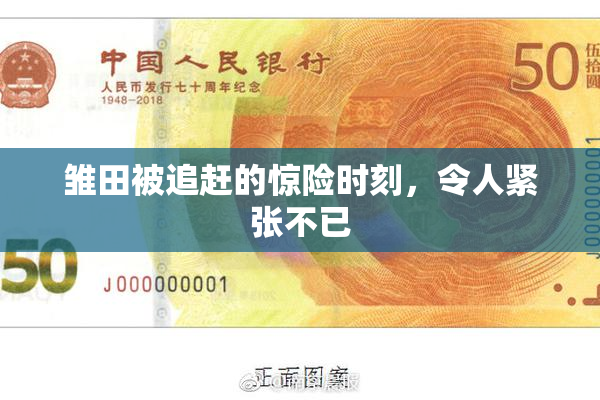 雏田被追赶的惊险时刻，令人紧张不已