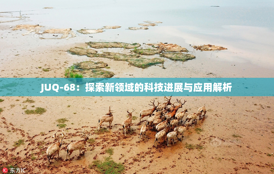 JUQ-68：探索新领域的科技进展与应用解析