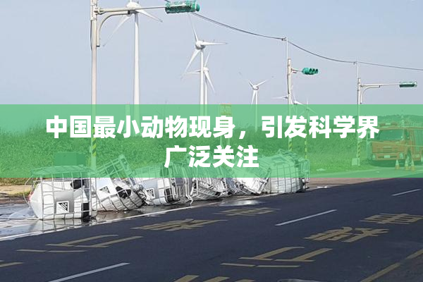 中国最小动物现身，引发科学界广泛关注