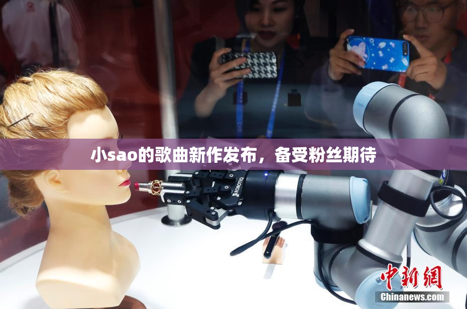 小sao的歌曲新作发布，备受粉丝期待