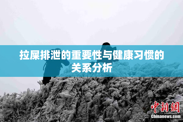 拉屎排泄的重要性与健康习惯的关系分析