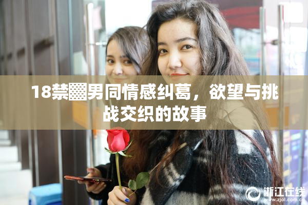 18禁▓男同情感纠葛，欲望与挑战交织的故事