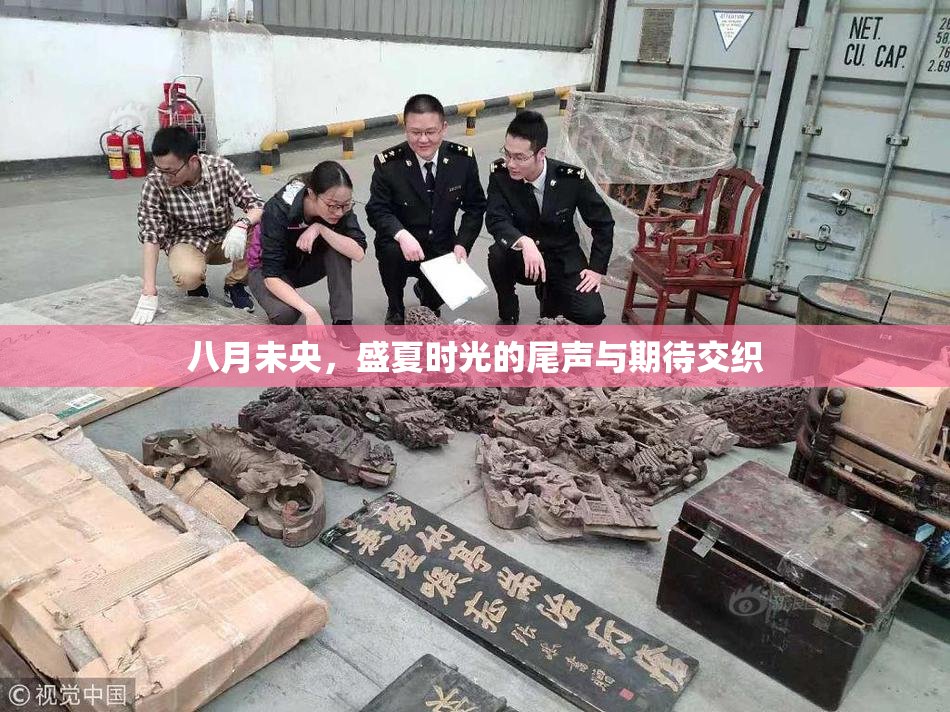 八月未央，盛夏时光的尾声与期待交织