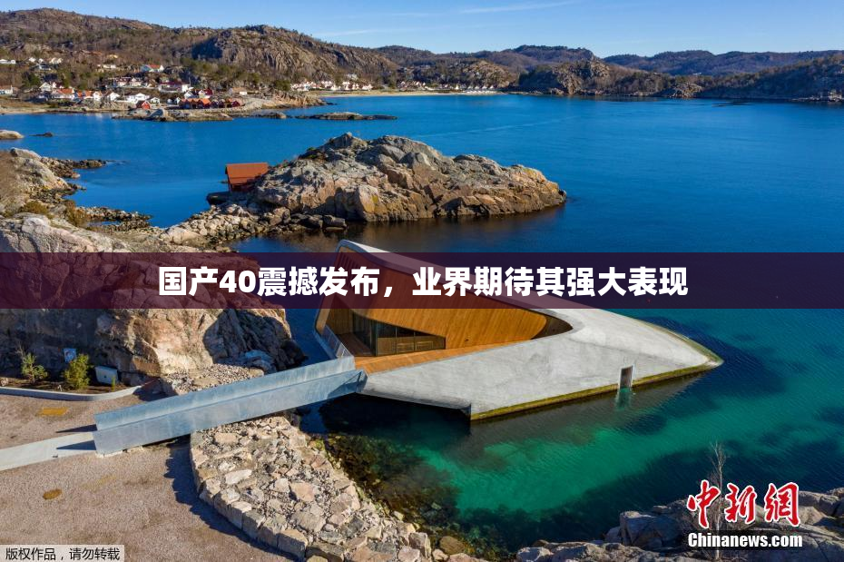 国产40震撼发布，业界期待其强大表现