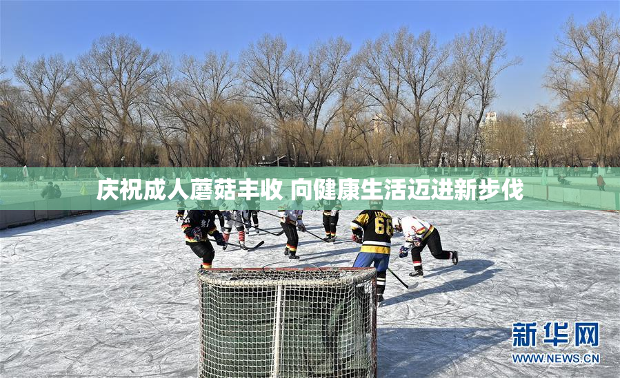庆祝成人蘑菇丰收 向健康生活迈进新步伐