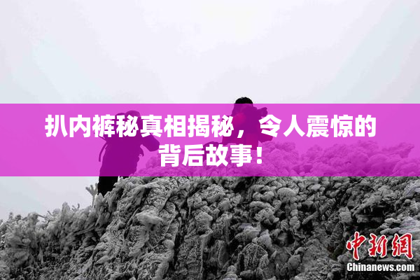 扒内裤秘真相揭秘，令人震惊的背后故事！