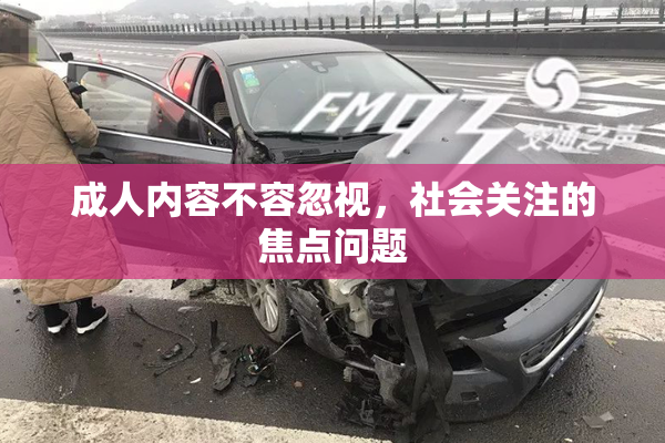 成人内容不容忽视，社会关注的焦点问题