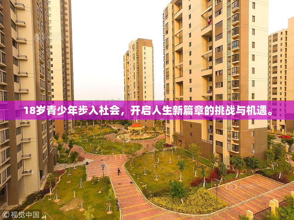 18岁青少年步入社会，开启人生新篇章的挑战与机遇。