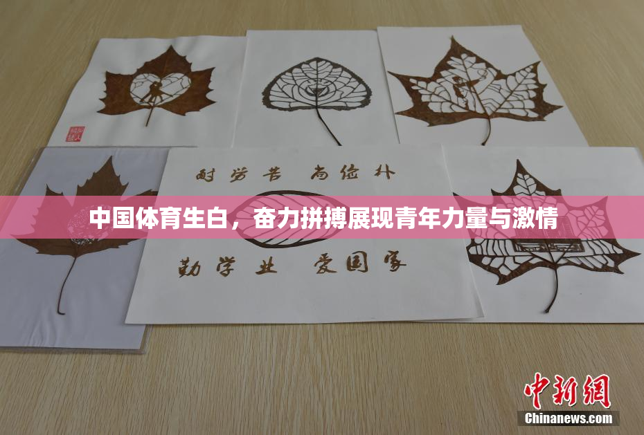 中国体育生白，奋力拼搏展现青年力量与激情