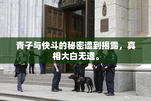 青子与快斗的秘密遭到揭露，真相大白无遗。