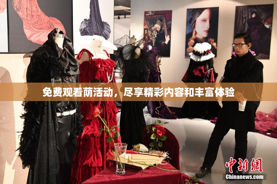 免费观看荫活动，尽享精彩内容和丰富体验