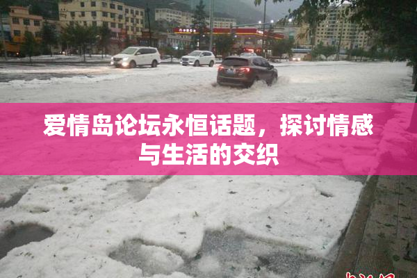 爱情岛论坛永恒话题，探讨情感与生活的交织