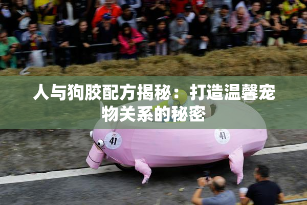 人与狗胶配方揭秘：打造温馨宠物关系的秘密