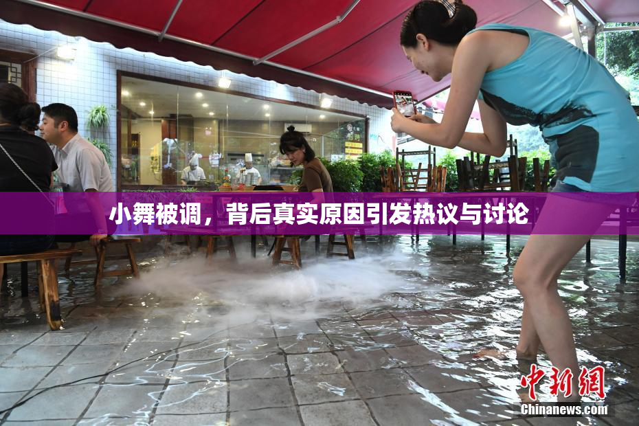 小舞被调，背后真实原因引发热议与讨论