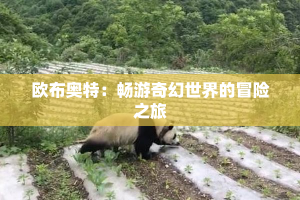 欧布奥特：畅游奇幻世界的冒险之旅