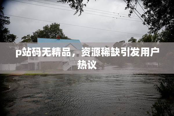 p站码无精品，资源稀缺引发用户热议
