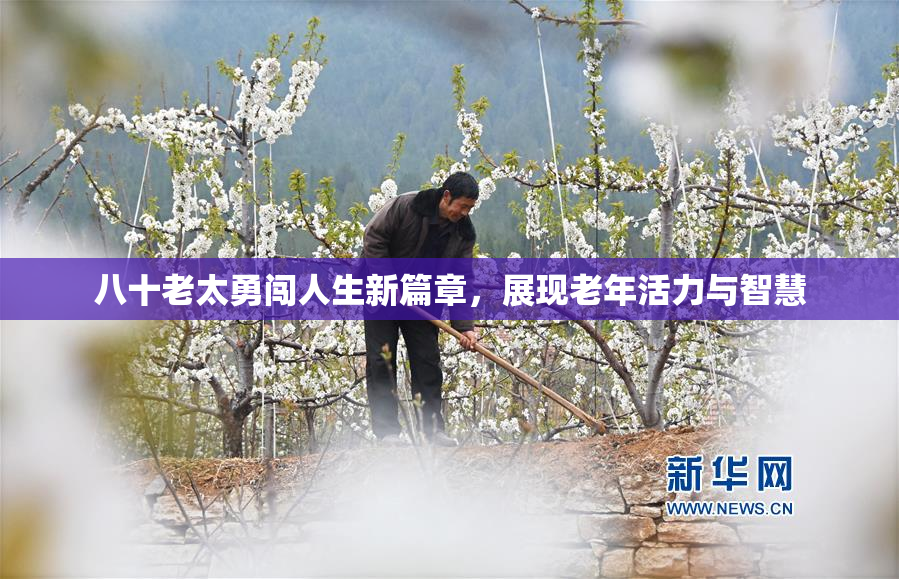 八十老太勇闯人生新篇章，展现老年活力与智慧