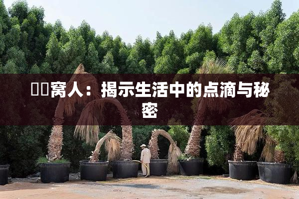 妺妺窝人：揭示生活中的点滴与秘密