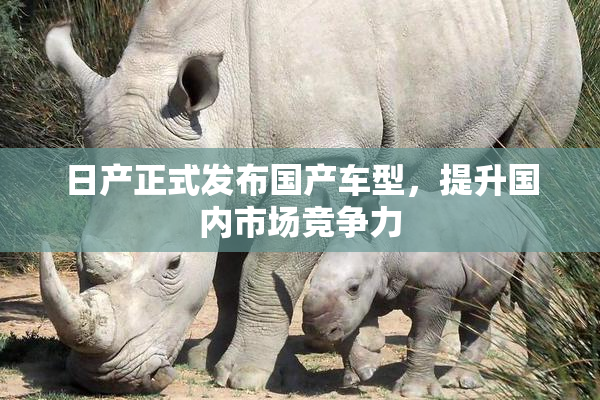 日产正式发布国产车型，提升国内市场竞争力