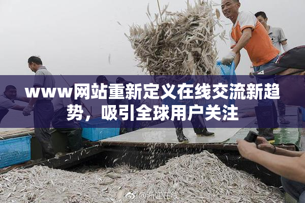 www网站重新定义在线交流新趋势，吸引全球用户关注