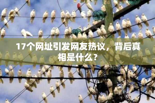 17个网址引发网友热议，背后真相是什么？