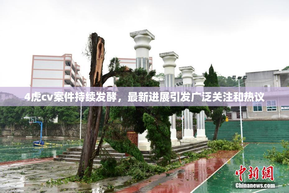 4虎cv案件持续发酵，最新进展引发广泛关注和热议