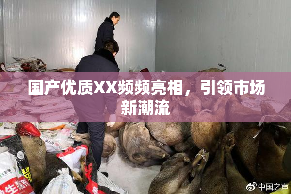 国产优质XX频频亮相，引领市场新潮流