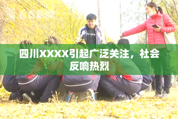 四川XXXX引起广泛关注，社会反响热烈