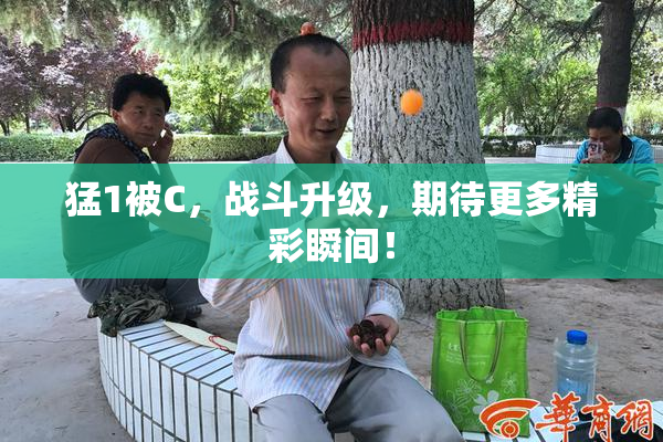 猛1被C，战斗升级，期待更多精彩瞬间！