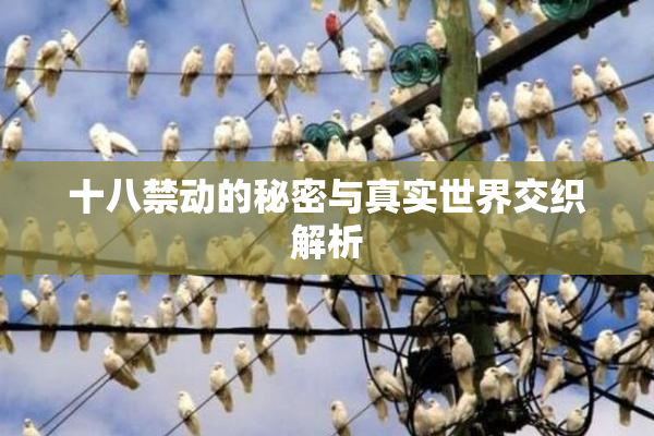 十八禁动的秘密与真实世界交织解析