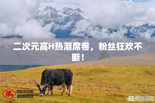 二次元高H热潮席卷，粉丝狂欢不断！