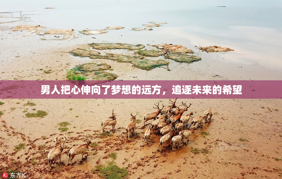 男人把心伸向了梦想的远方，追逐未来的希望