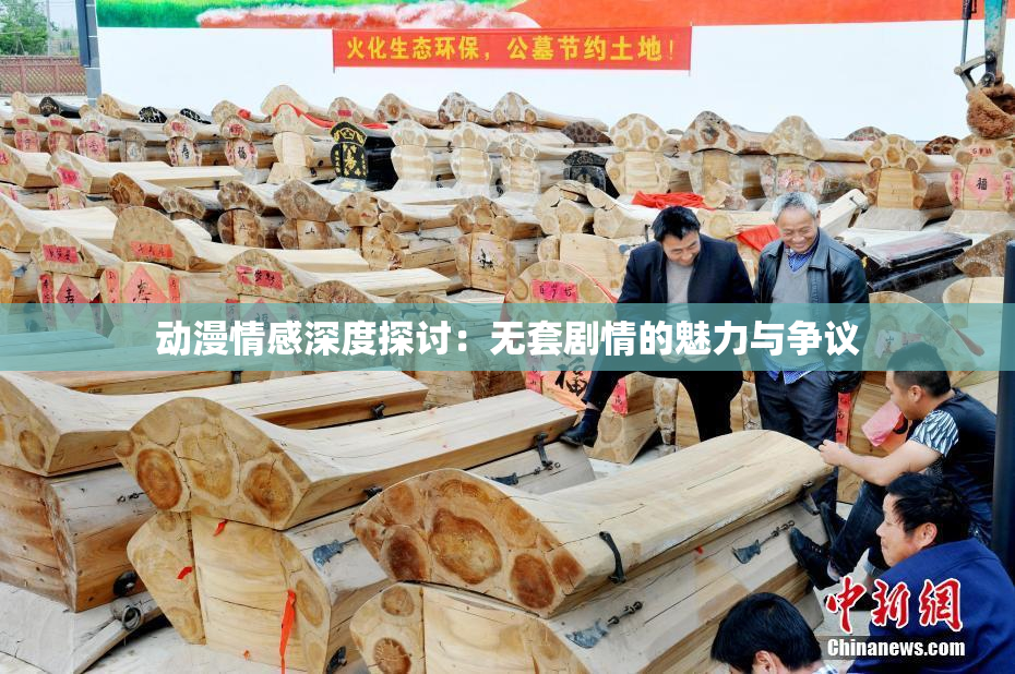动漫情感深度探讨：无套剧情的魅力与争议