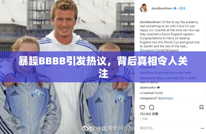 暴躁BBBB引发热议，背后真相令人关注