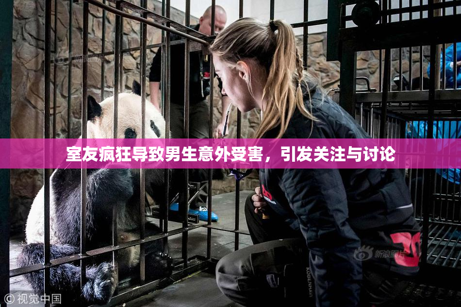室友疯狂导致男生意外受害，引发关注与讨论