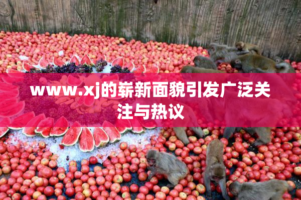 www.xj的崭新面貌引发广泛关注与热议