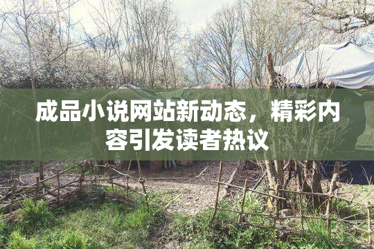 成品小说网站新动态，精彩内容引发读者热议