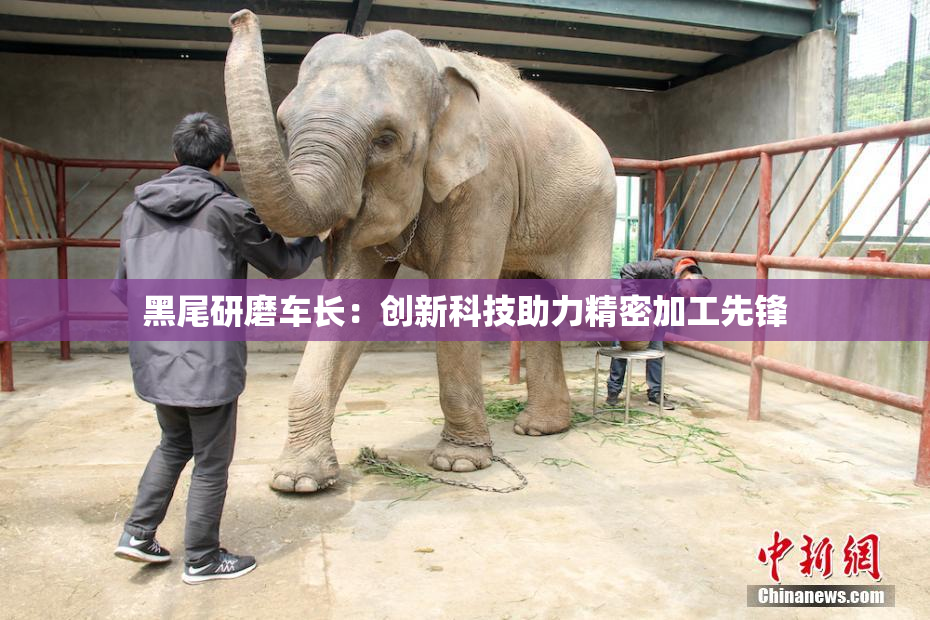黑尾研磨车长：创新科技助力精密加工先锋